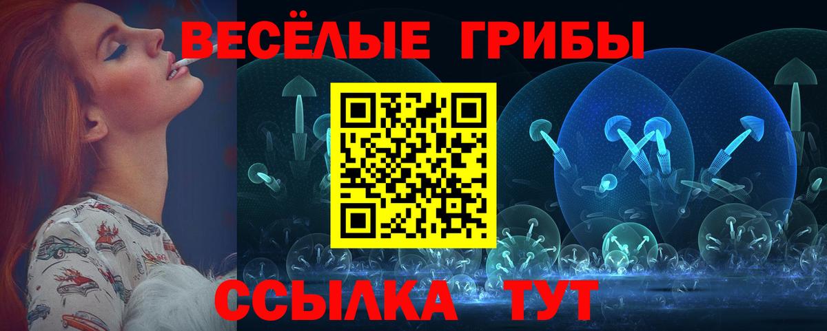 Галлюциногенные грибы Psilocybine cubensis  Псилоцибиновые грибы MAGIC MUSHROOMS  Вход с VPN  Мурино 